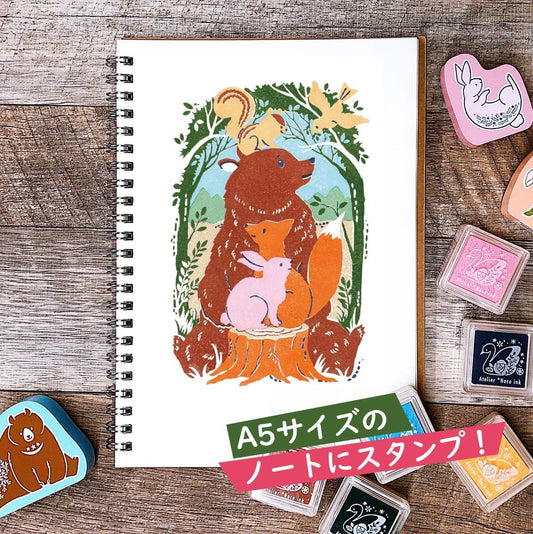 Set de tampons transparents multicouches Ours – Design japonais – Kit complet
