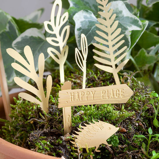 mini-aventure-a-velo-pour-tes-plantes vue 2