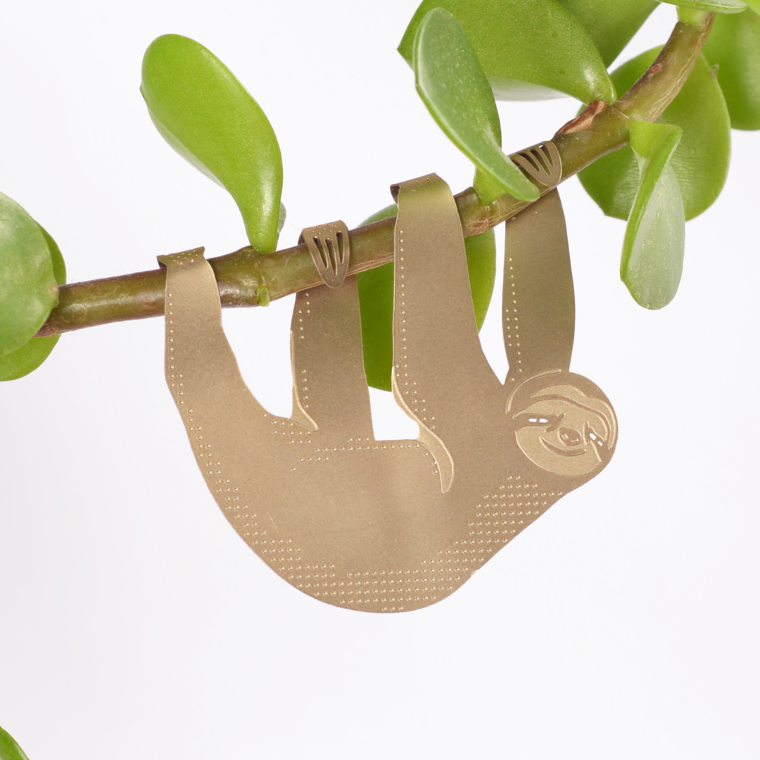 plant-animal-paresseux-jolie-breloque-pour-plante-dinterieur vue 3
