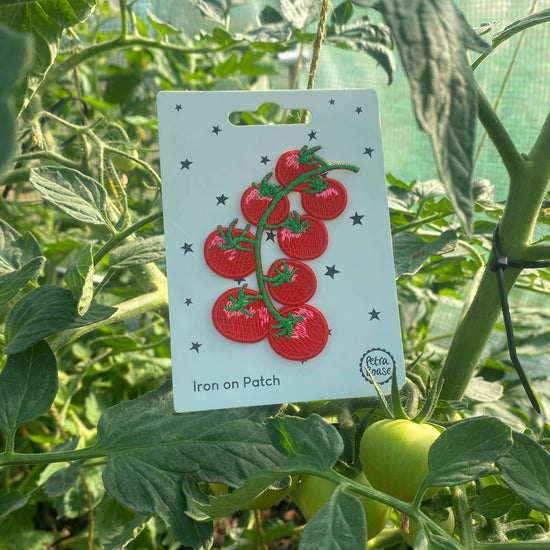 lot-de-6-ecussons-thermocollants-tomates vue 2
