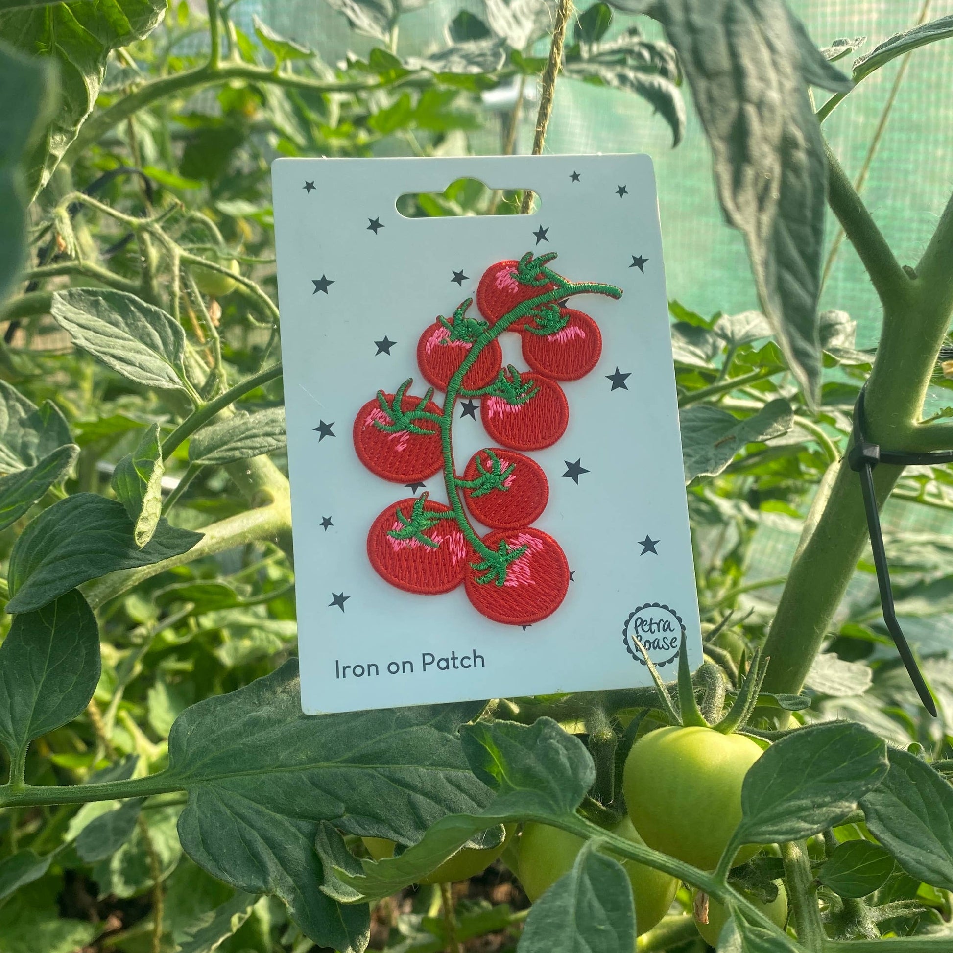 lot-de-6-ecussons-thermocollants-tomates vue 2
