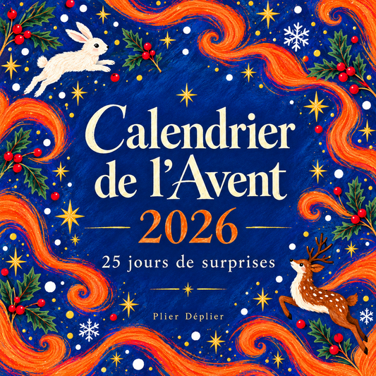 Calendrier de l'avent Noël 2026 - Précommande