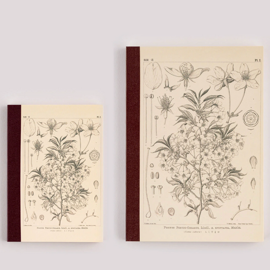 Graph Notebook - Carnet quadrillé - Tomitaro Makino - Yamazakura -  A5 ou A6 au choix - Hobonichi