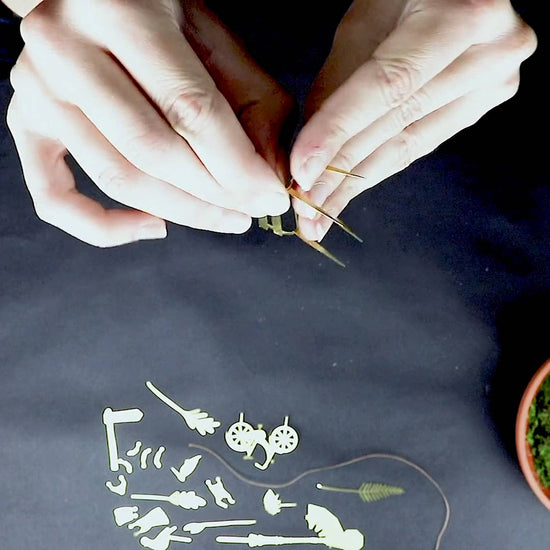 mini-aventure-a-velo-pour-tes-plantes vue 3