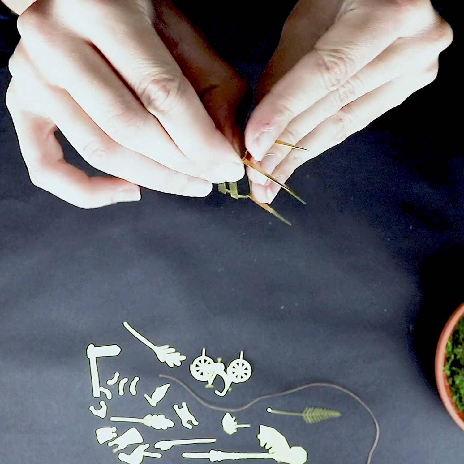 mini-aventure-a-velo-pour-tes-plantes vue 3