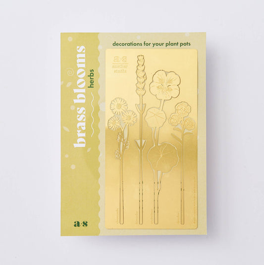 herbes-de-laiton-en-fleurs-decor-floral-pot-de-plante-en-metal-pal vue 2
