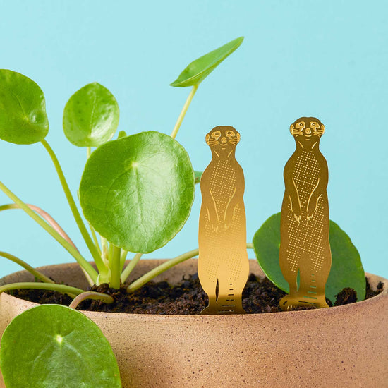 Animal végétal – Accessoire décoratif pour plantes