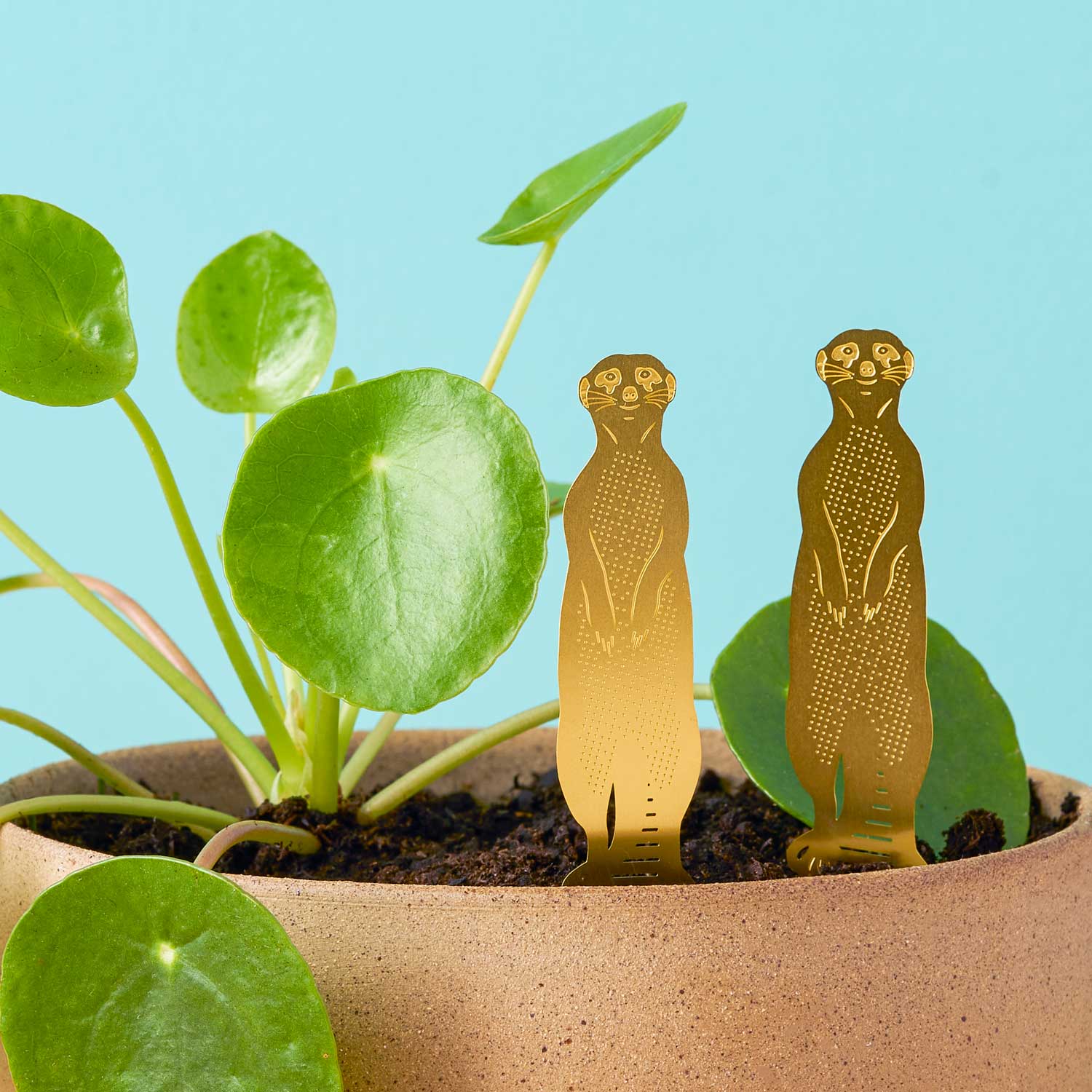 Animal végétal – Accessoire décoratif pour plantes