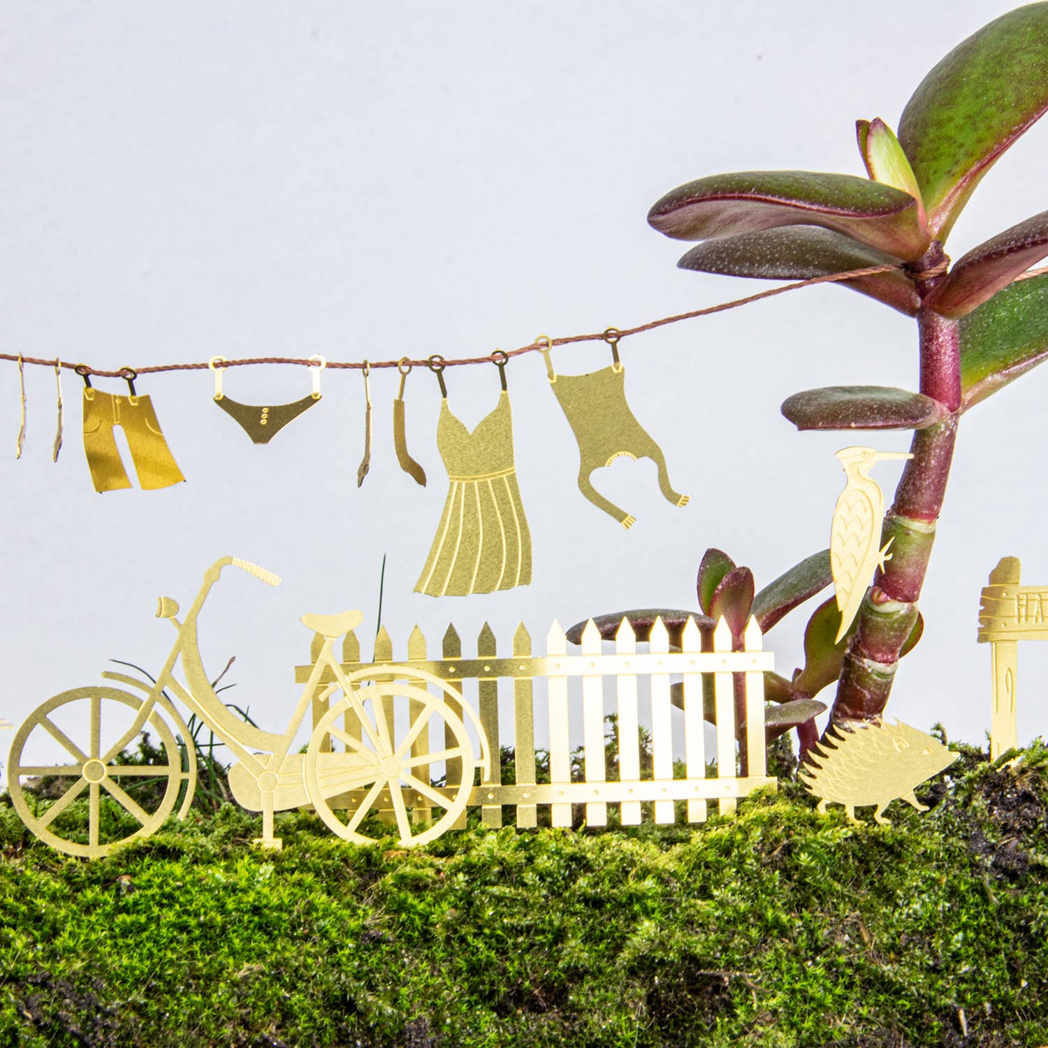 mini-aventure-a-velo-pour-tes-plantes vue 5