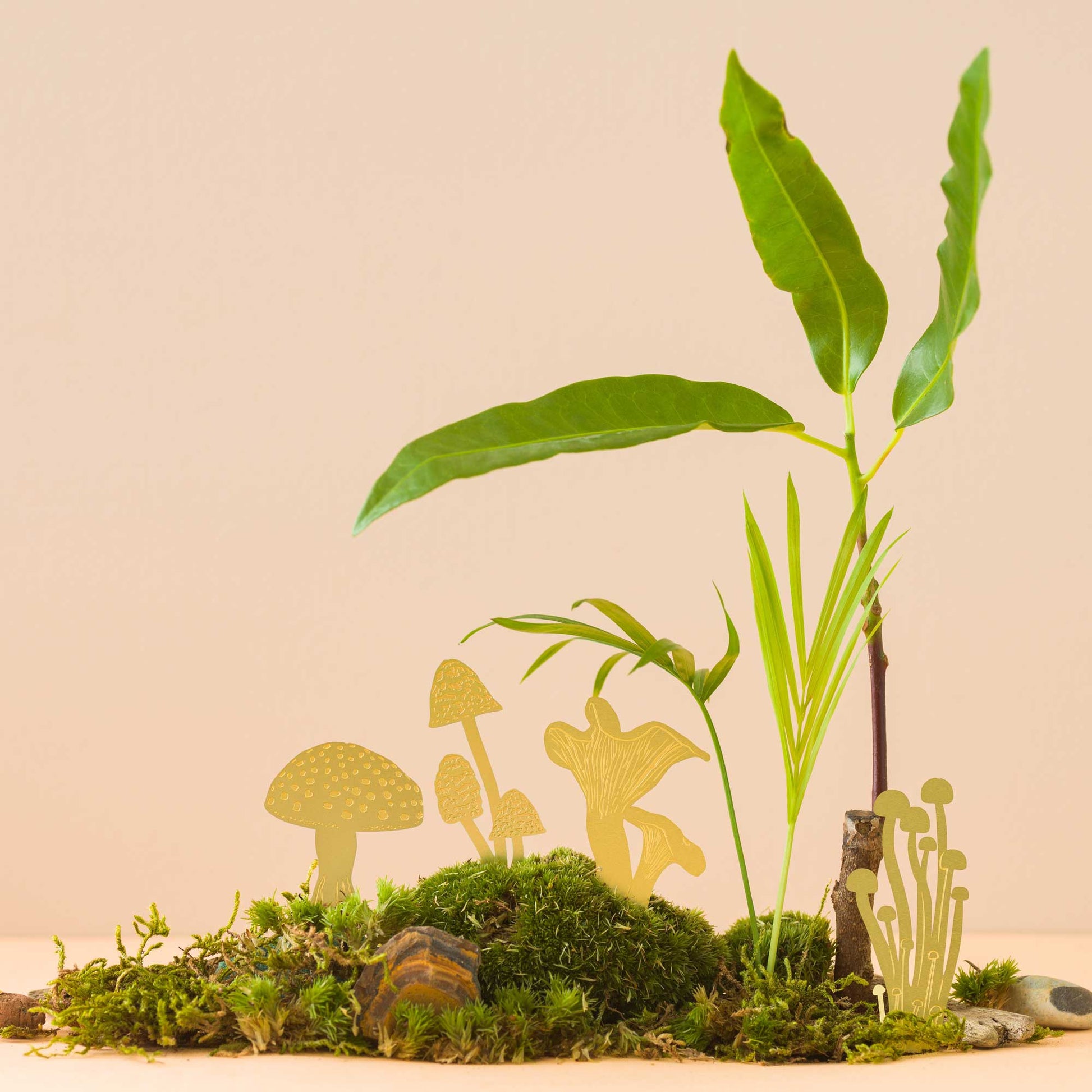 mini-champignons-en-laiton-decoration-de-pot-de-plante-et-terrarium vue 5