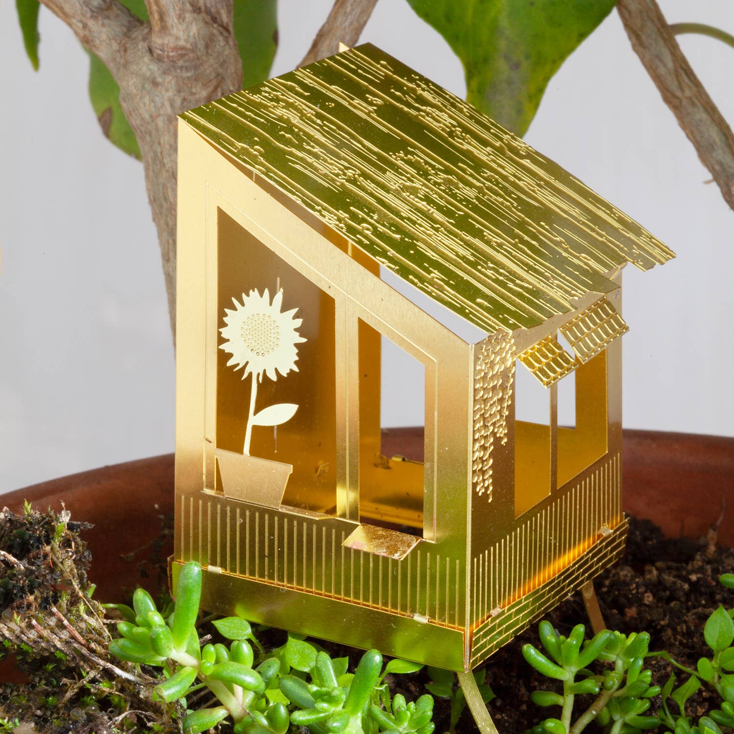 mini-cabane-pour-plantes vue 2