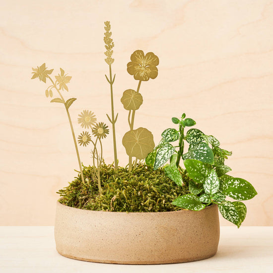 herbes-de-laiton-en-fleurs-decor-floral-pot-de-plante-en-metal-pal vue 5