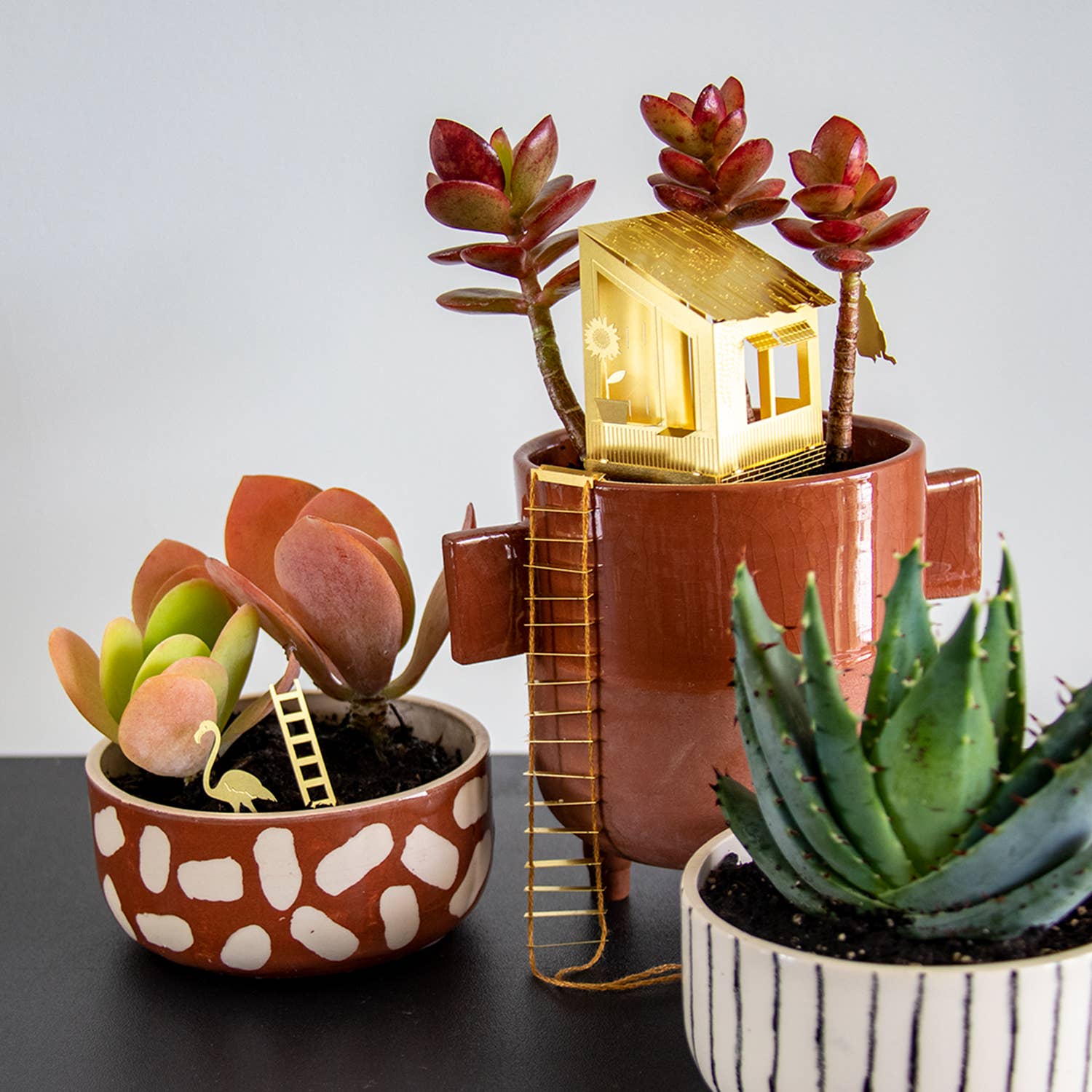 mini-cabane-pour-plantes vue 4