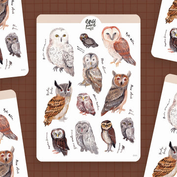 Planche de stickers en papier – Chouettes | Wild Pencil Studio