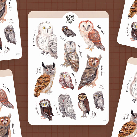 Planche de stickers en papier – Chouettes | Wild Pencil Studio
