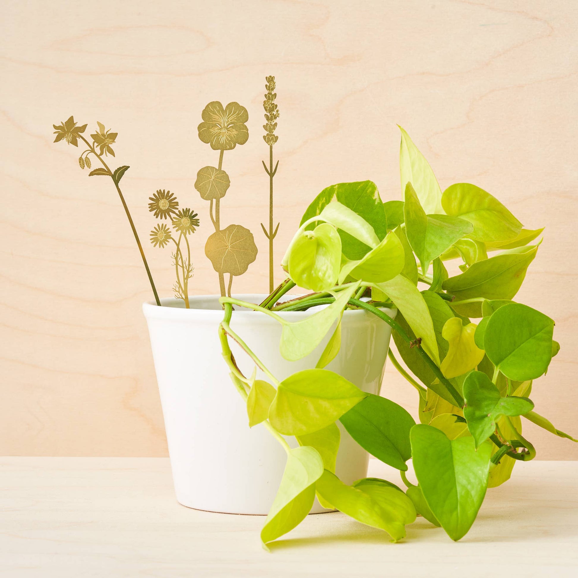 herbes-de-laiton-en-fleurs-decor-floral-pot-de-plante-en-metal-pal vue 4