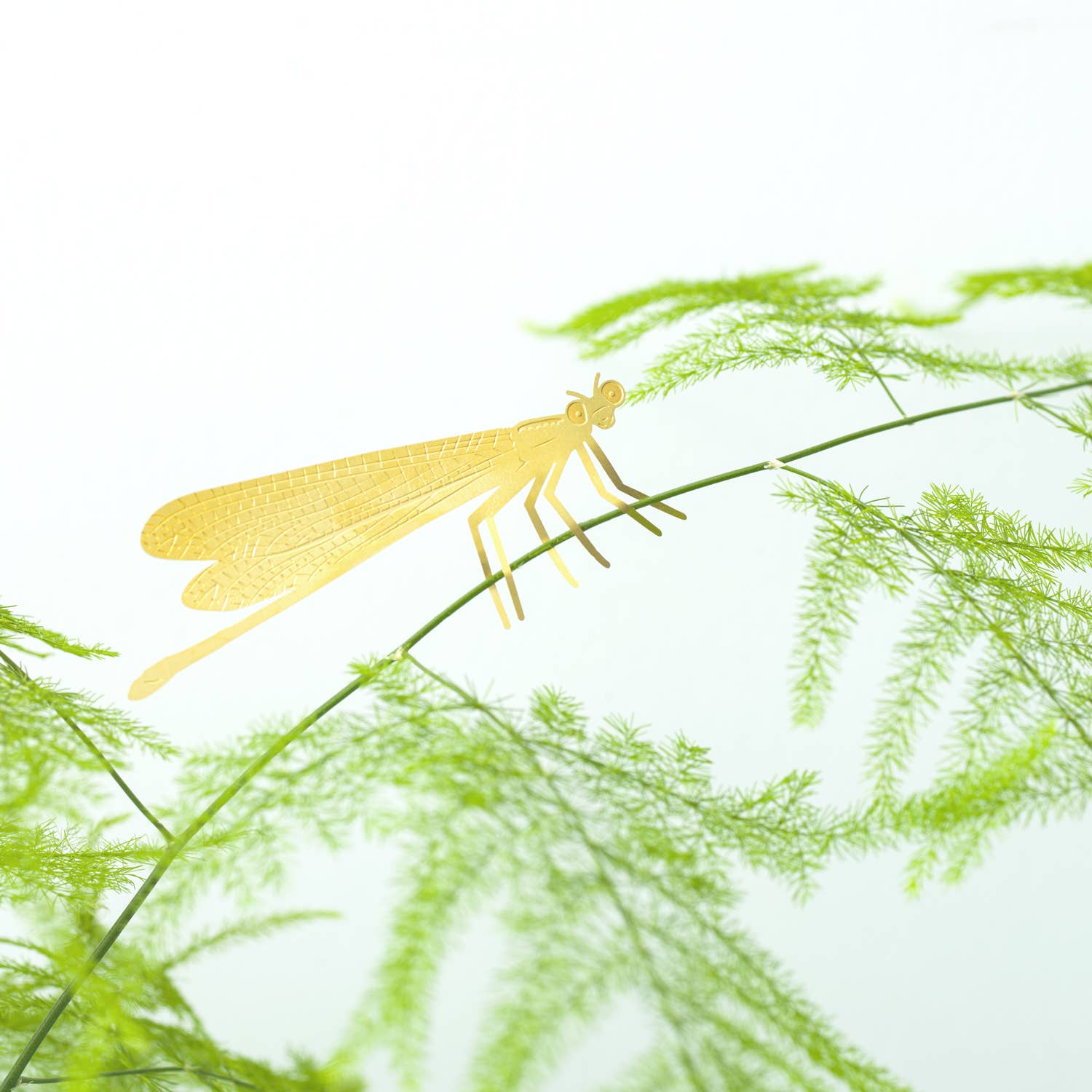 plant-animal-demoiselle-accessoire-pour-insectes vue 5