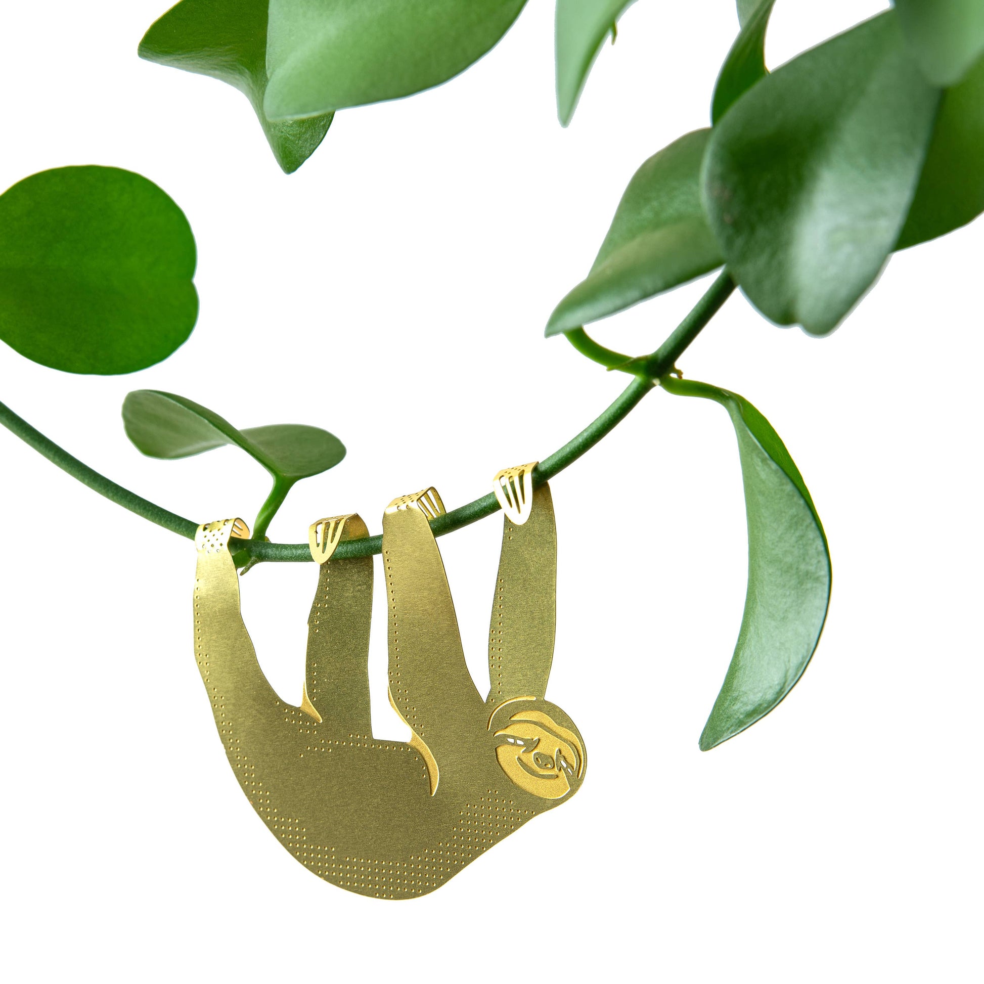 plant-animal-paresseux-jolie-breloque-pour-plante-dinterieur vue 5