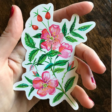 Sticker mat Katie Daisy – Rose sauvage